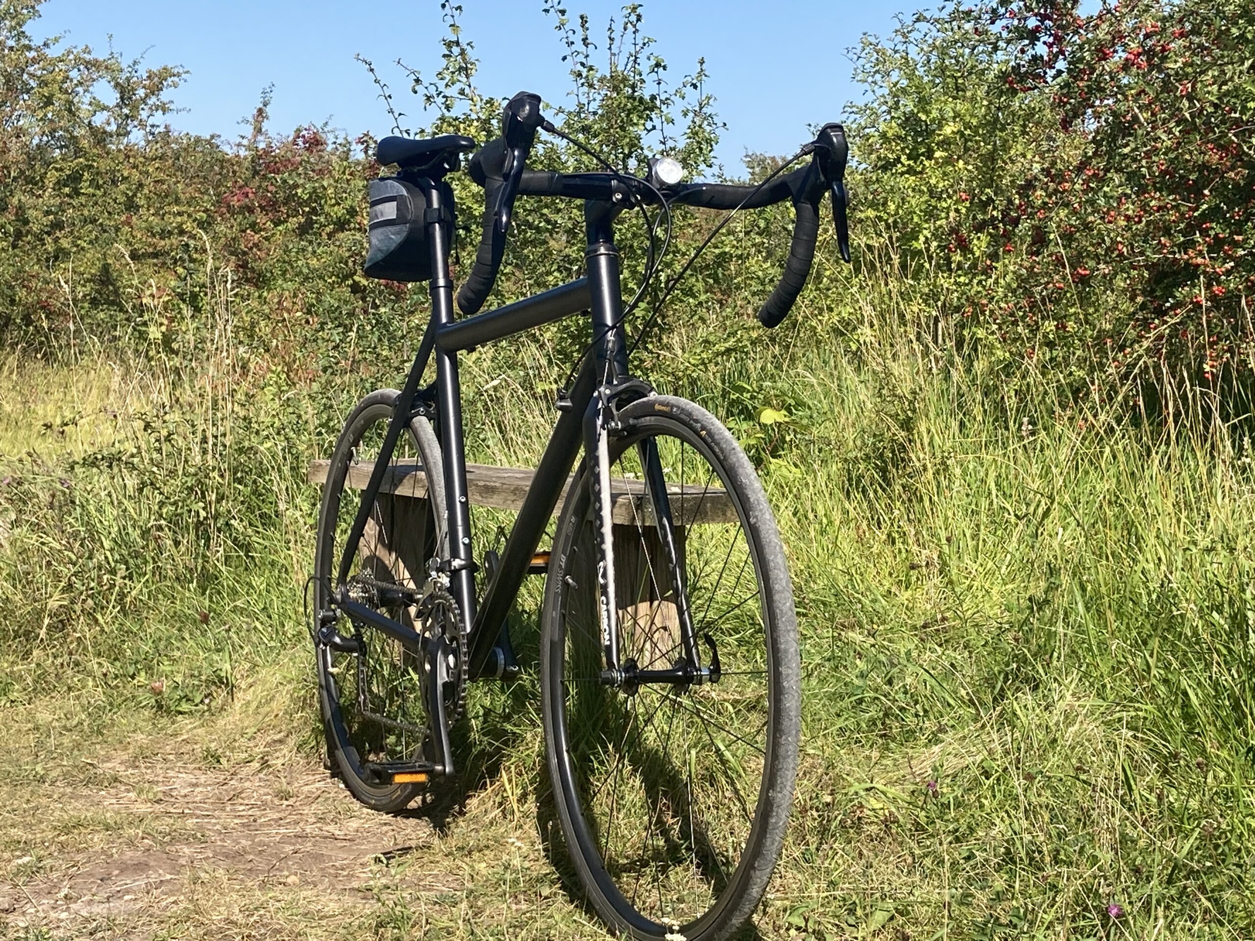 A (FXD) Roadie Out In The Wild